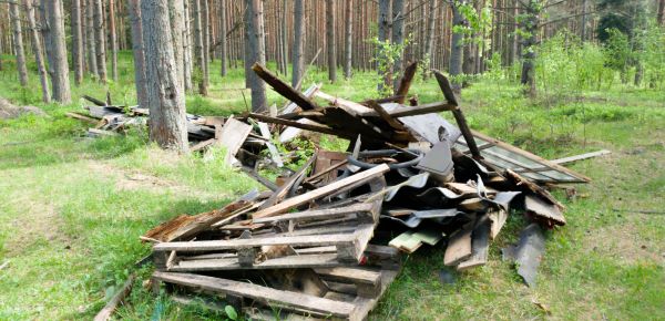 Debris Removal Service in Fort Lauderdale